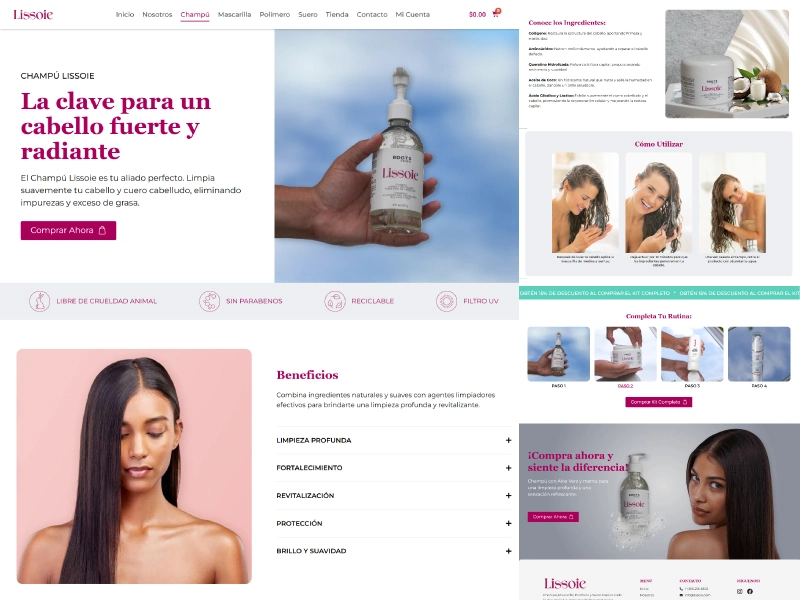 Muestra de Diseño de Página Web